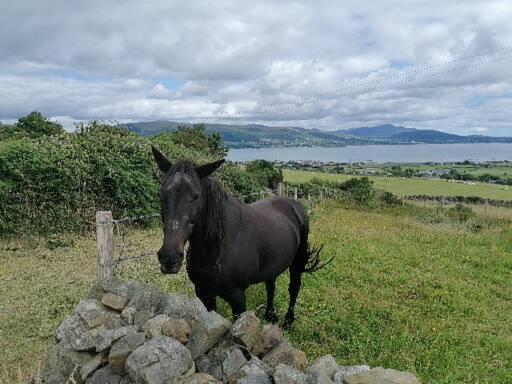 Carlingford Mountain And Sea Views 아파트 외부 사진