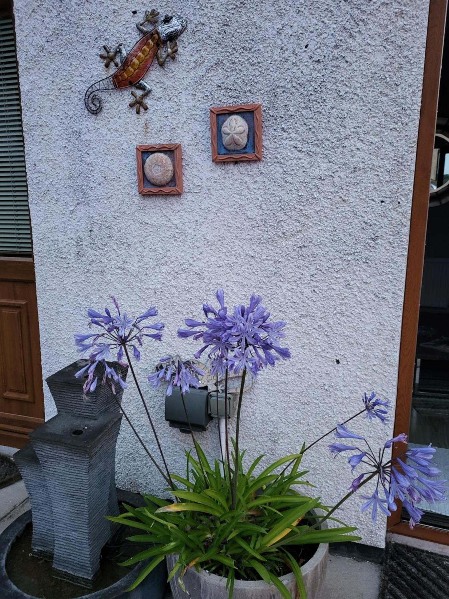 Carlingford Mountain And Sea Views 아파트 외부 사진